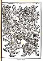  no thumbnail available