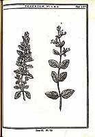  no thumbnail available