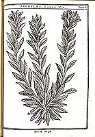  no thumbnail available