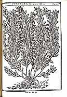  no thumbnail available