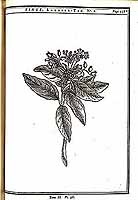  no thumbnail available