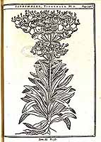  no thumbnail available