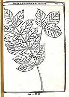  no thumbnail available