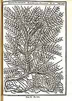  no thumbnail available