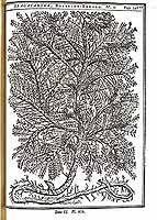  no thumbnail available