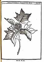  no thumbnail available