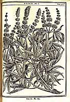  no thumbnail available