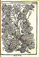  no thumbnail available