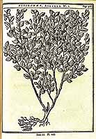  no thumbnail available