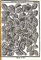  no thumbnail available