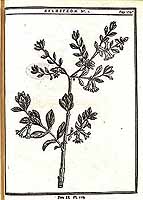  no thumbnail available