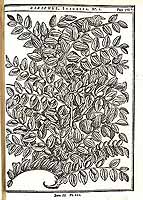  no thumbnail available