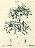  no thumbnail available