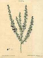  no thumbnail available