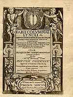  no thumbnail available