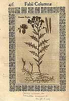  no thumbnail available