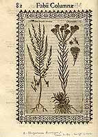  no thumbnail available