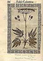  no thumbnail available