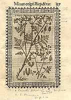  no thumbnail available