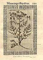  no thumbnail available