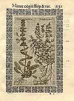  no thumbnail available