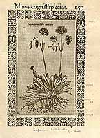  no thumbnail available