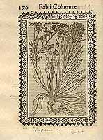  no thumbnail available