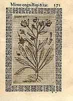  no thumbnail available