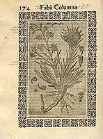  no thumbnail available