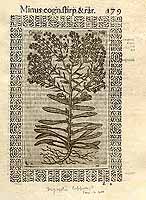  no thumbnail available