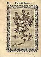  no thumbnail available