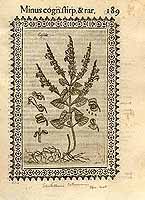  no thumbnail available