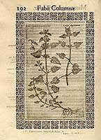  no thumbnail available