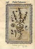  no thumbnail available