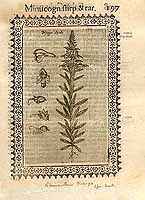  no thumbnail available