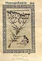  no thumbnail available