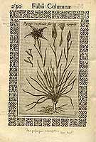  no thumbnail available