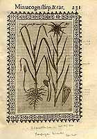  no thumbnail available