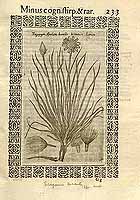  no thumbnail available