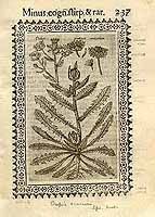  no thumbnail available