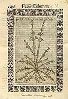  no thumbnail available