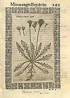  no thumbnail available