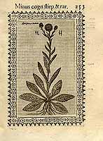  no thumbnail available