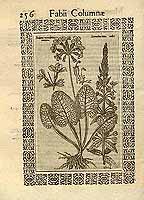  no thumbnail available