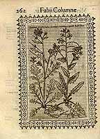  no thumbnail available