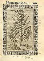  no thumbnail available