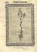  no thumbnail available