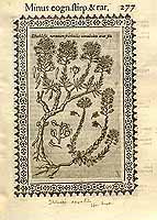  no thumbnail available