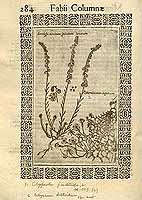  no thumbnail available