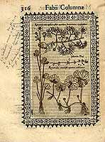  no thumbnail available